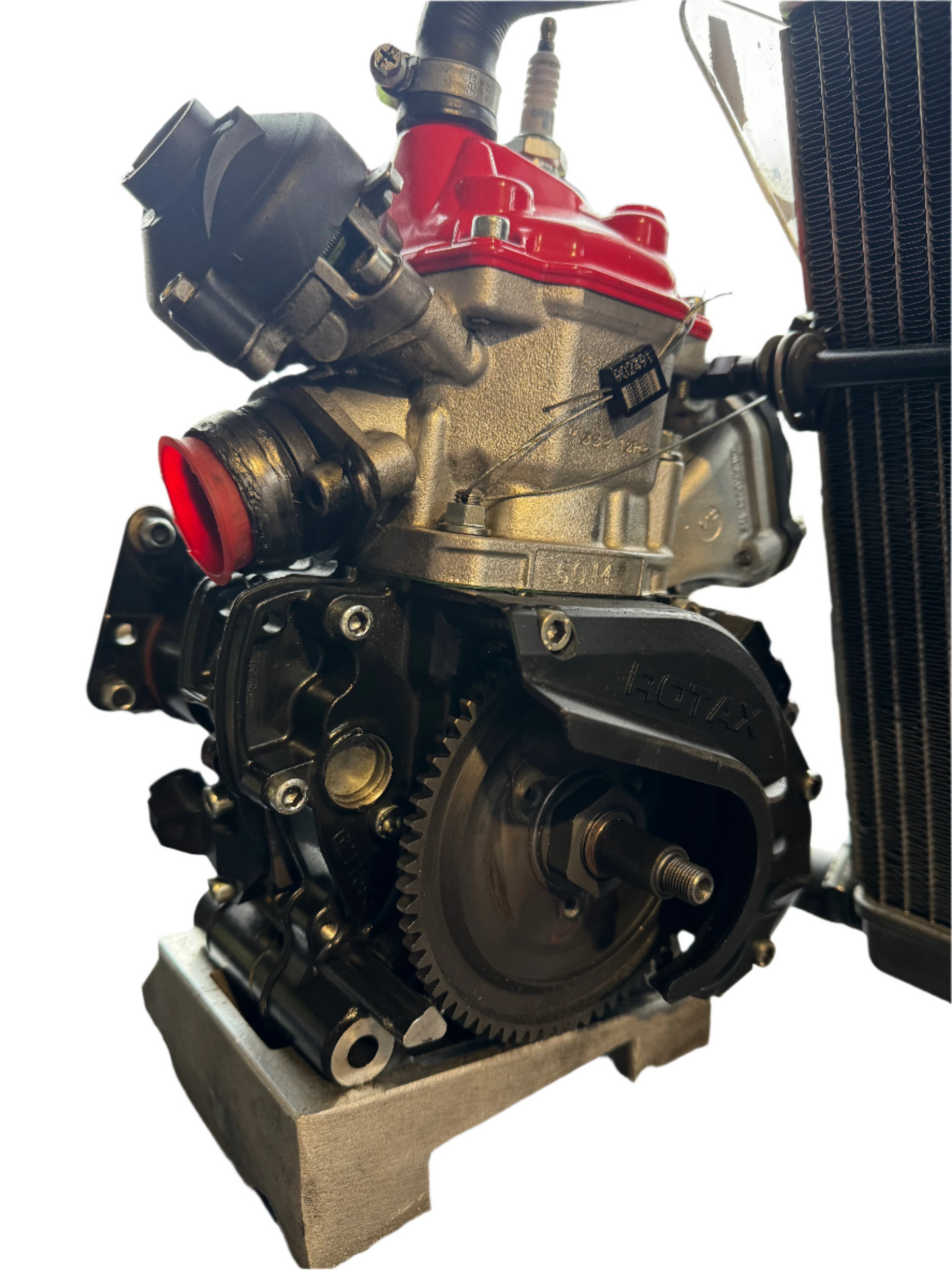 Rotax Max Evo Engine Senior