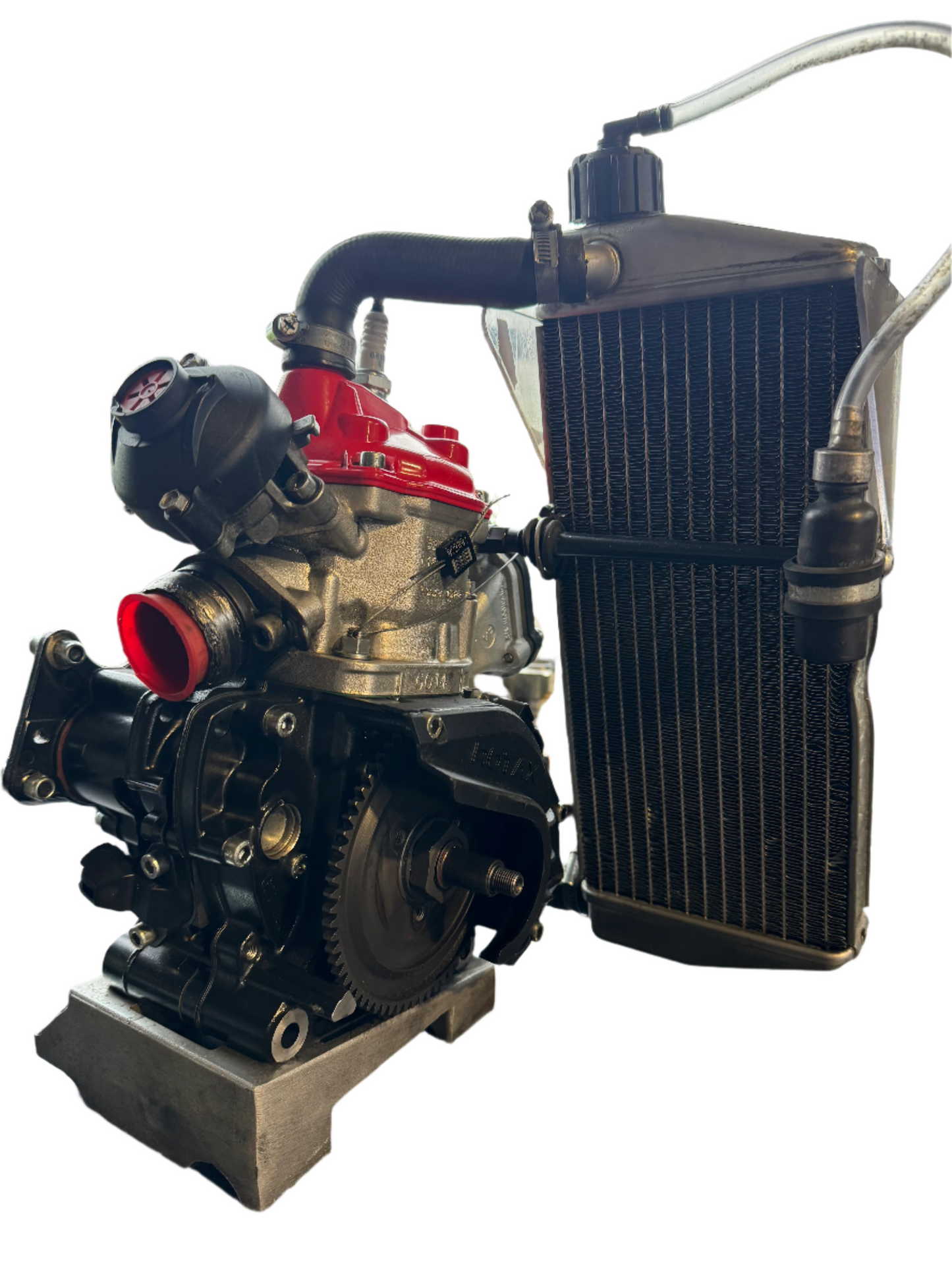 Rotax Max Evo Engine Senior